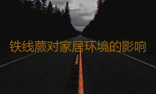 铁线蕨对家居环境的影响